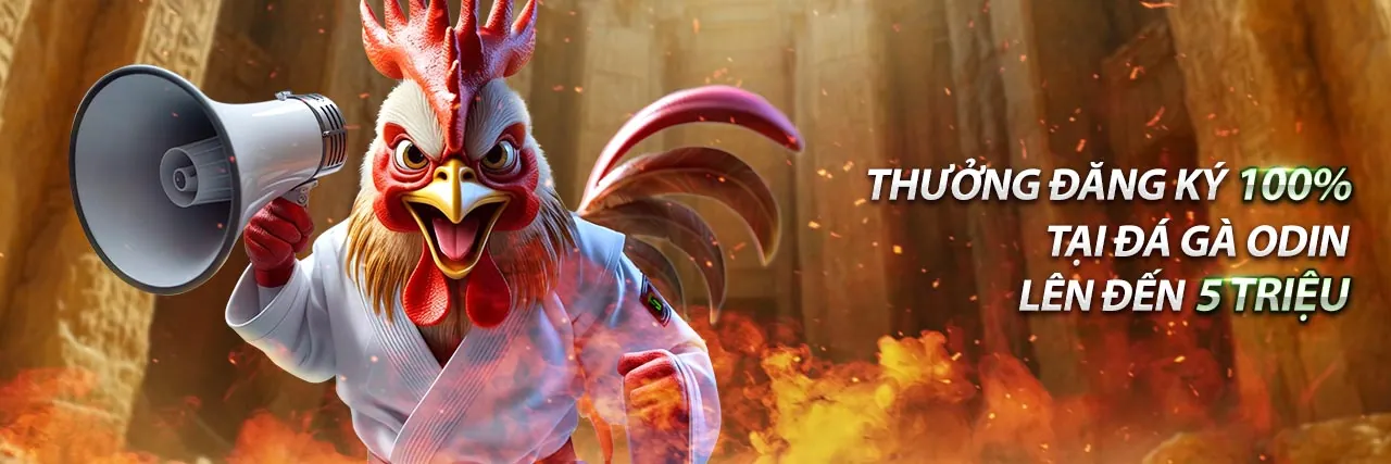 Điều khoản và điều kiện 79win